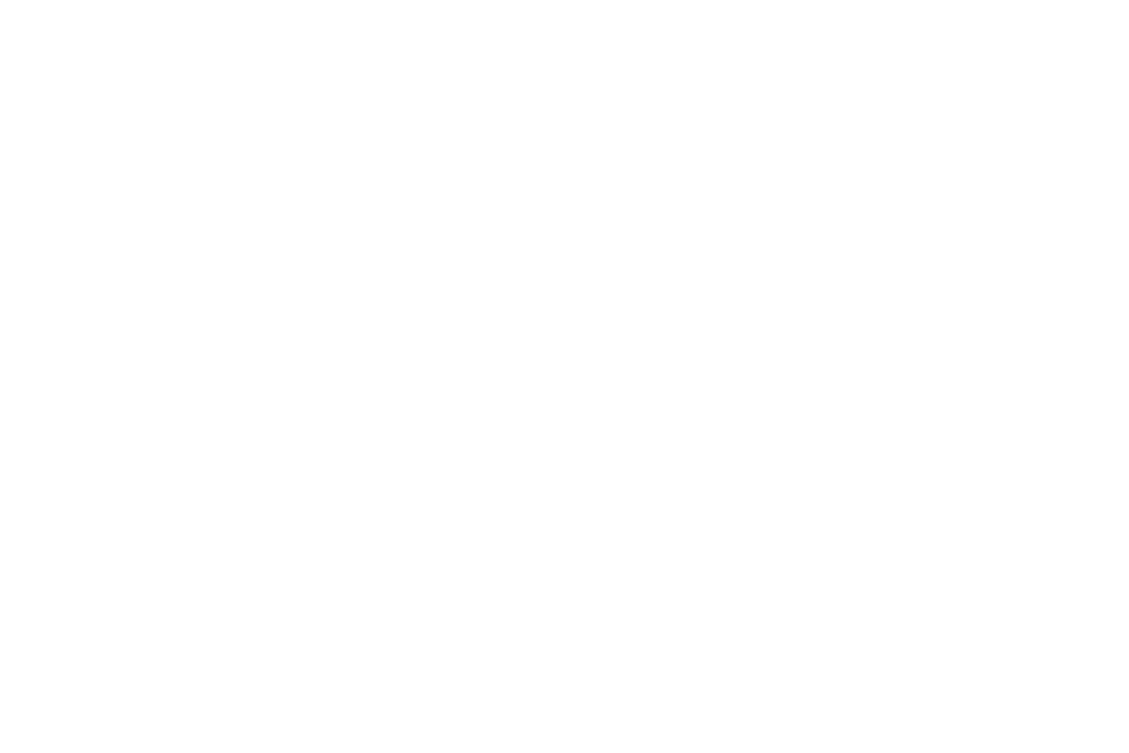 cher-group-logo-white